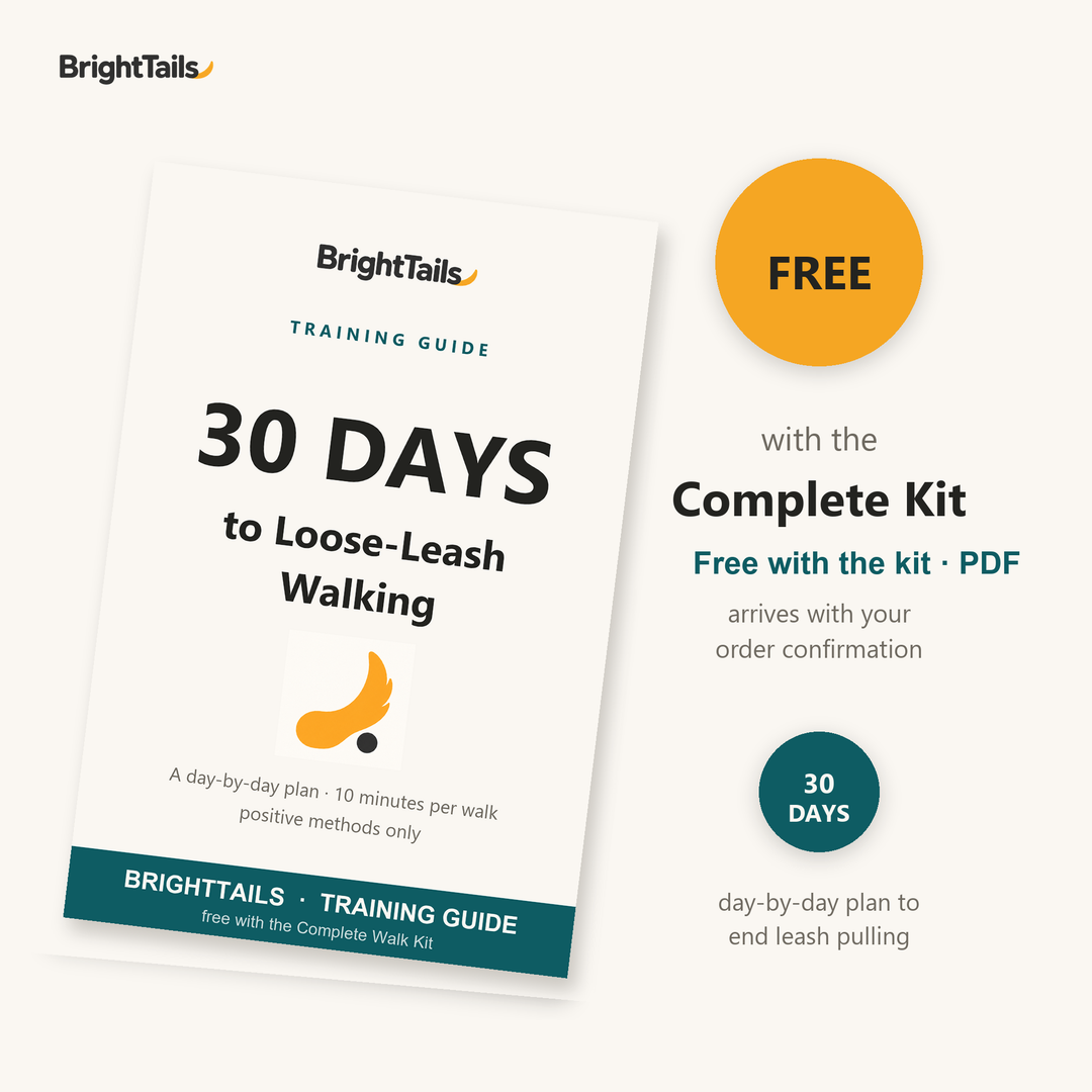 30 Days to Loose-Leash Walking guide - free with the Complete Kit