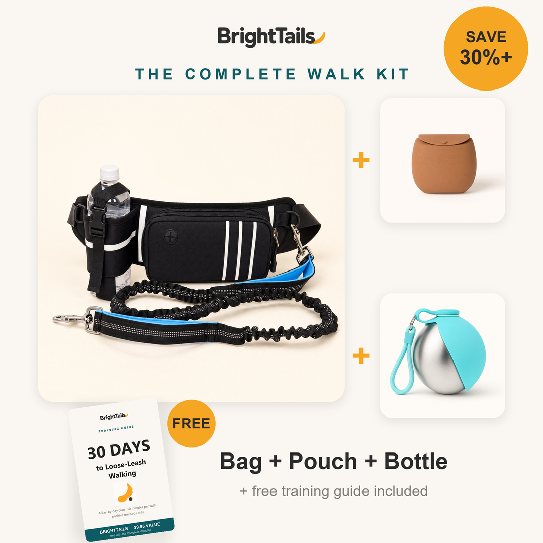 The Complete Walk Kit - bag, treat pouch, water bottle and free training guide, save 30%+