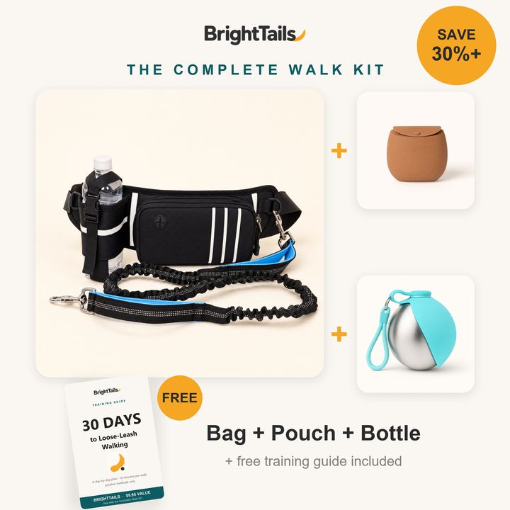The Complete Walk Kit - bag, treat pouch, water bottle and free training guide, save 30%+